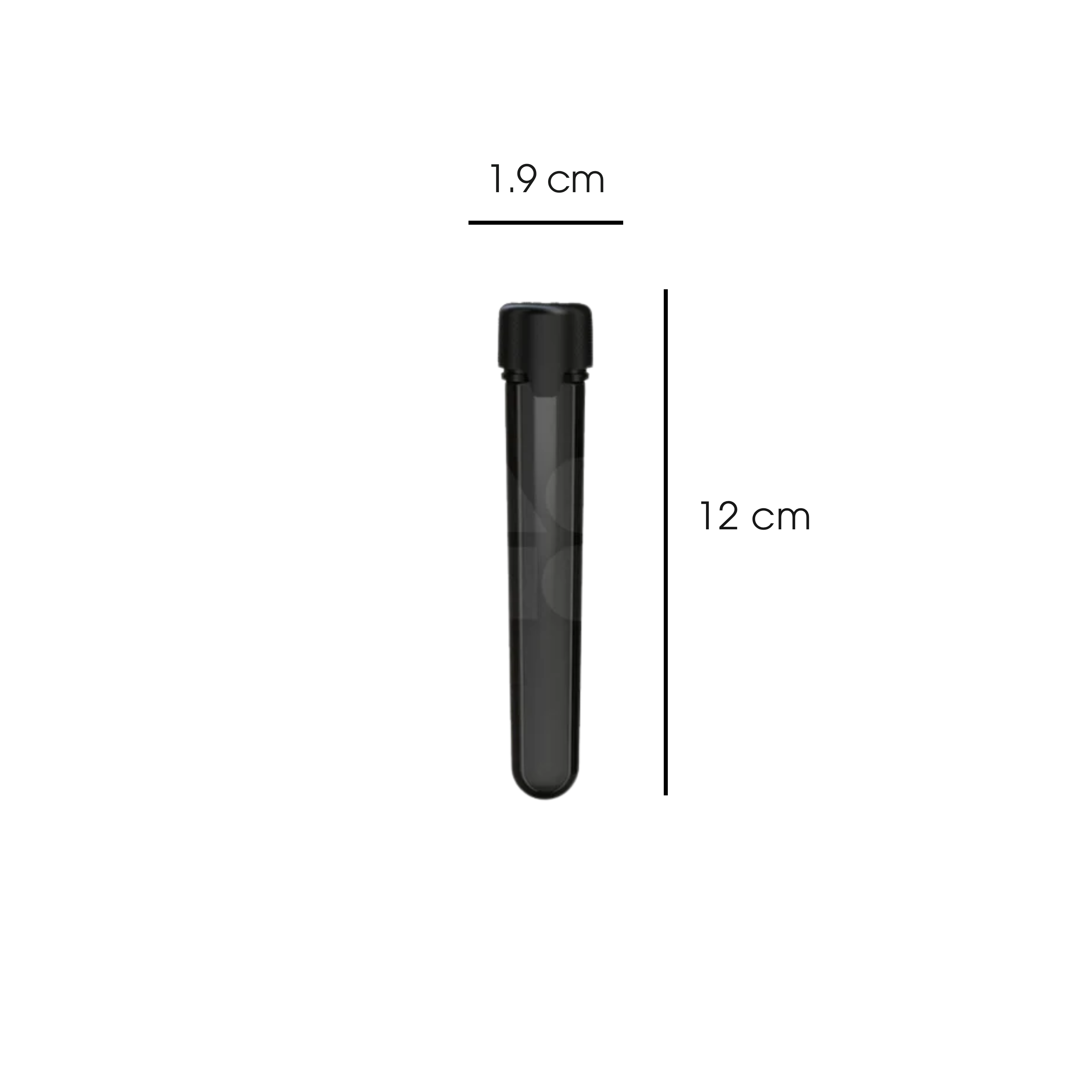 Image Right